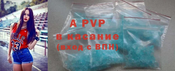 spice Бородино