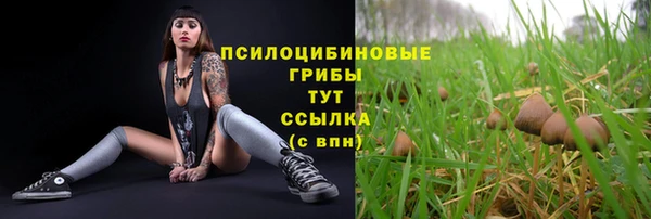 меф Приозерск