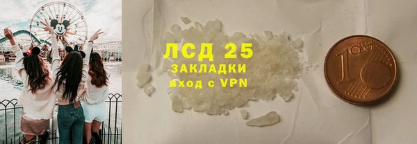 spice Бородино
