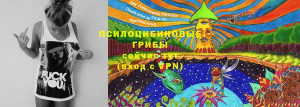 spice Бородино