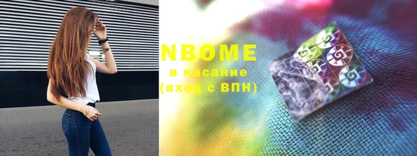 spice Бородино